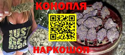гидра Новодвинск
