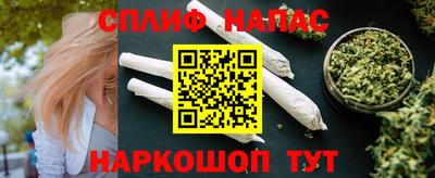 гидра Новодвинск