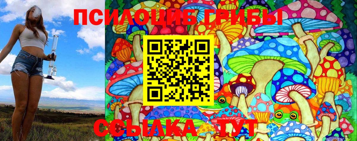 Галлюциногенные грибы Psilocybe Санкт-Петербург