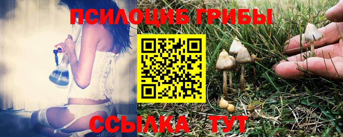 Псилоцибиновые грибы мицелий  Вход с VPN  Галлюциногенные грибы Magic Shrooms  Санкт-Петербург 